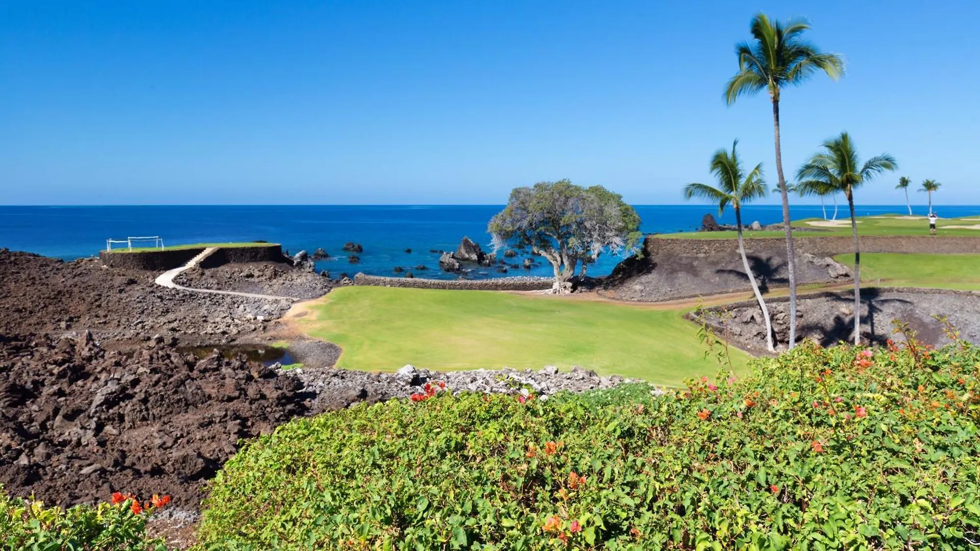Ocean Dream Panoramic Oceanfront Walk To Private Beach Club Bikes Waikoloa Apartment