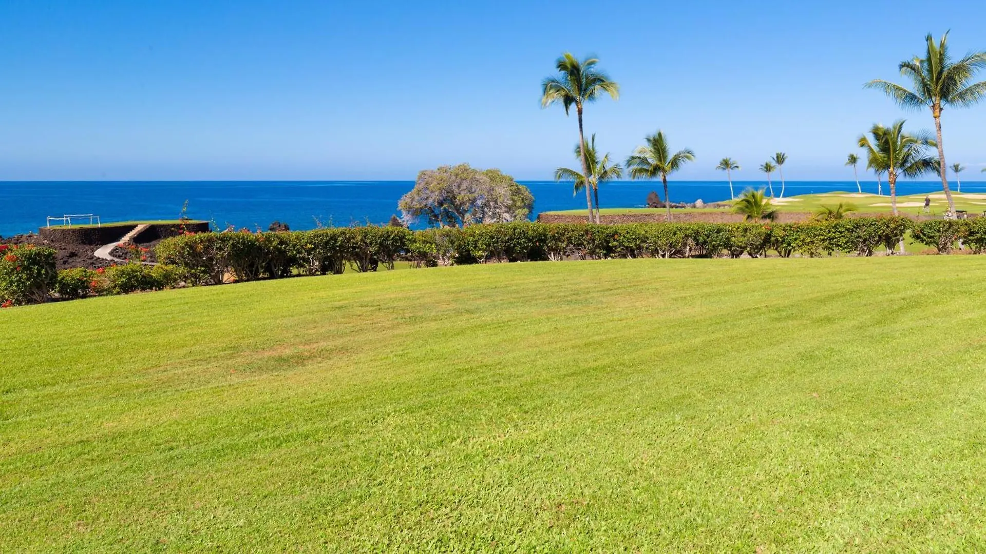 Ocean Dream Panoramic Oceanfront Walk To Private Beach Club Bikes Waikoloa