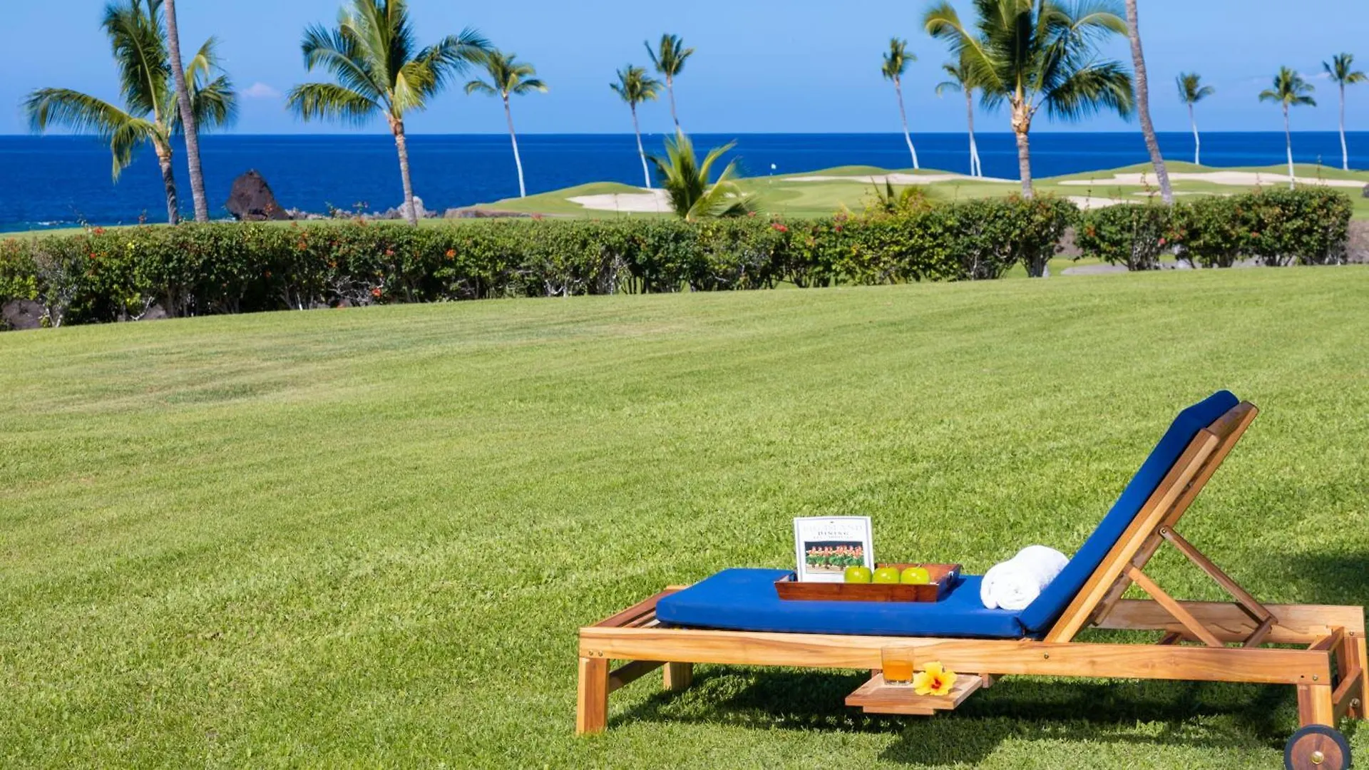 Ocean Dream Panoramic Oceanfront Walk To Private Beach Club Bikes Waikoloa 0*,