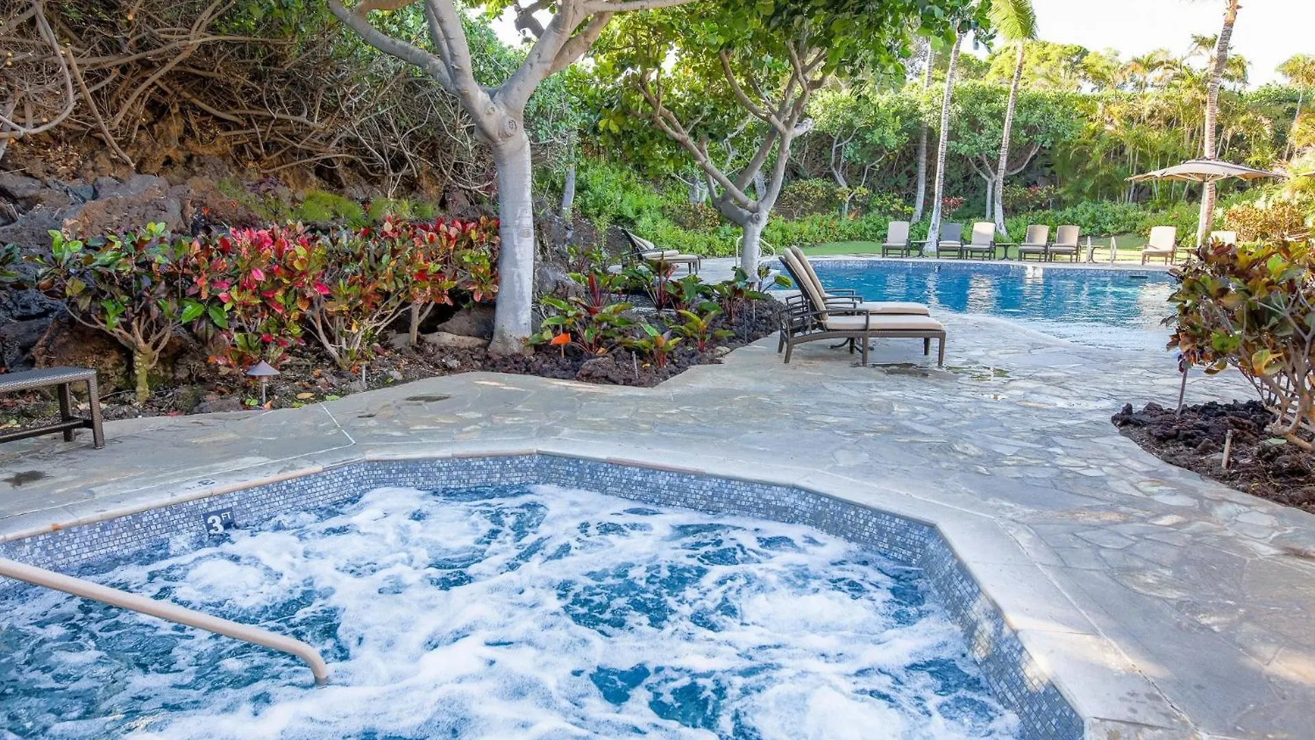 Apartment Ocean Dream Panoramic Oceanfront Walk To Private Beach Club Bikes Waikoloa United States