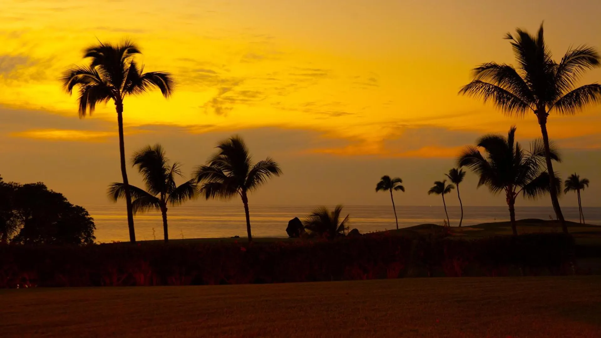 Ocean Dream Panoramic Oceanfront Walk To Private Beach Club Bikes Waikoloa
