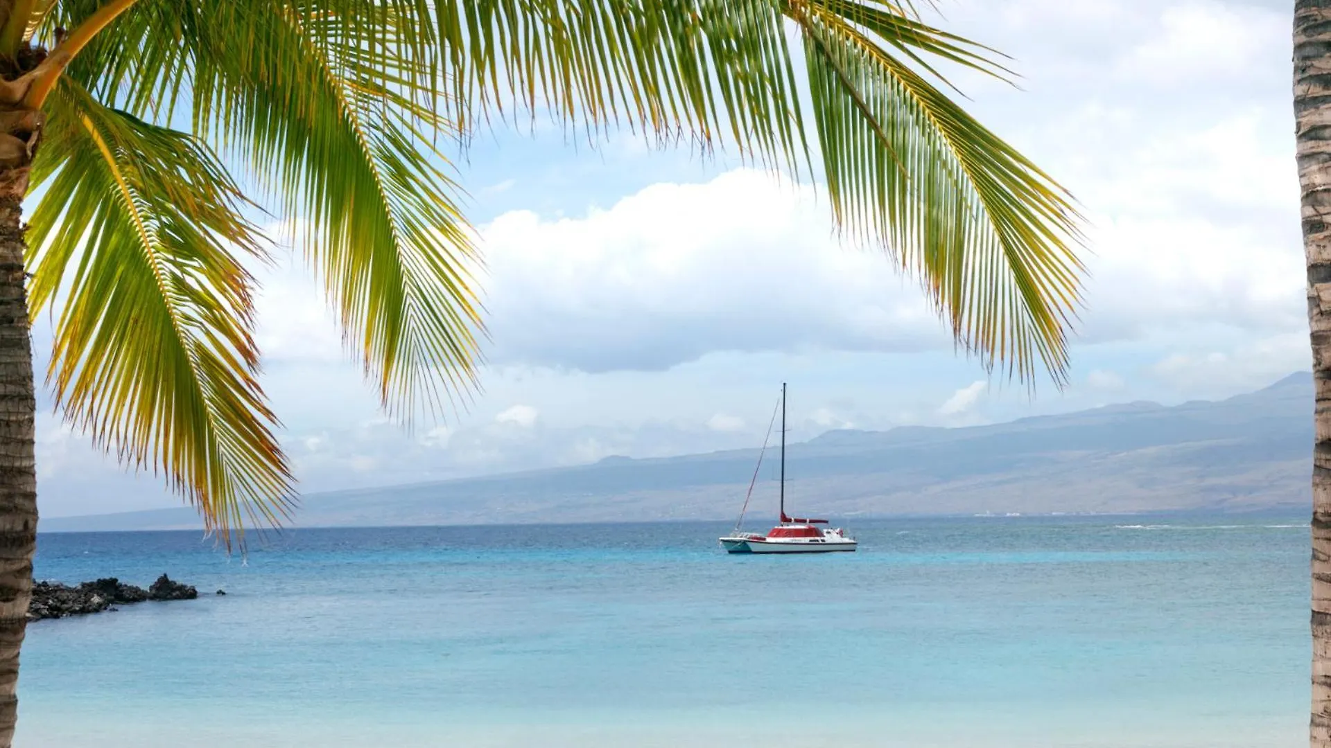 Apartment Ocean Dream Panoramic Oceanfront Walk To Private Beach Club Bikes Waikoloa