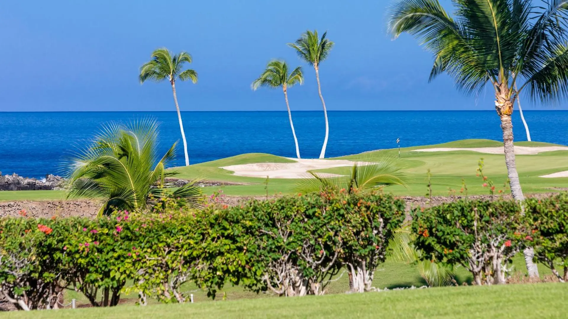 Ocean Dream Panoramic Oceanfront Walk To Private Beach Club Bikes Waikoloa 0*,