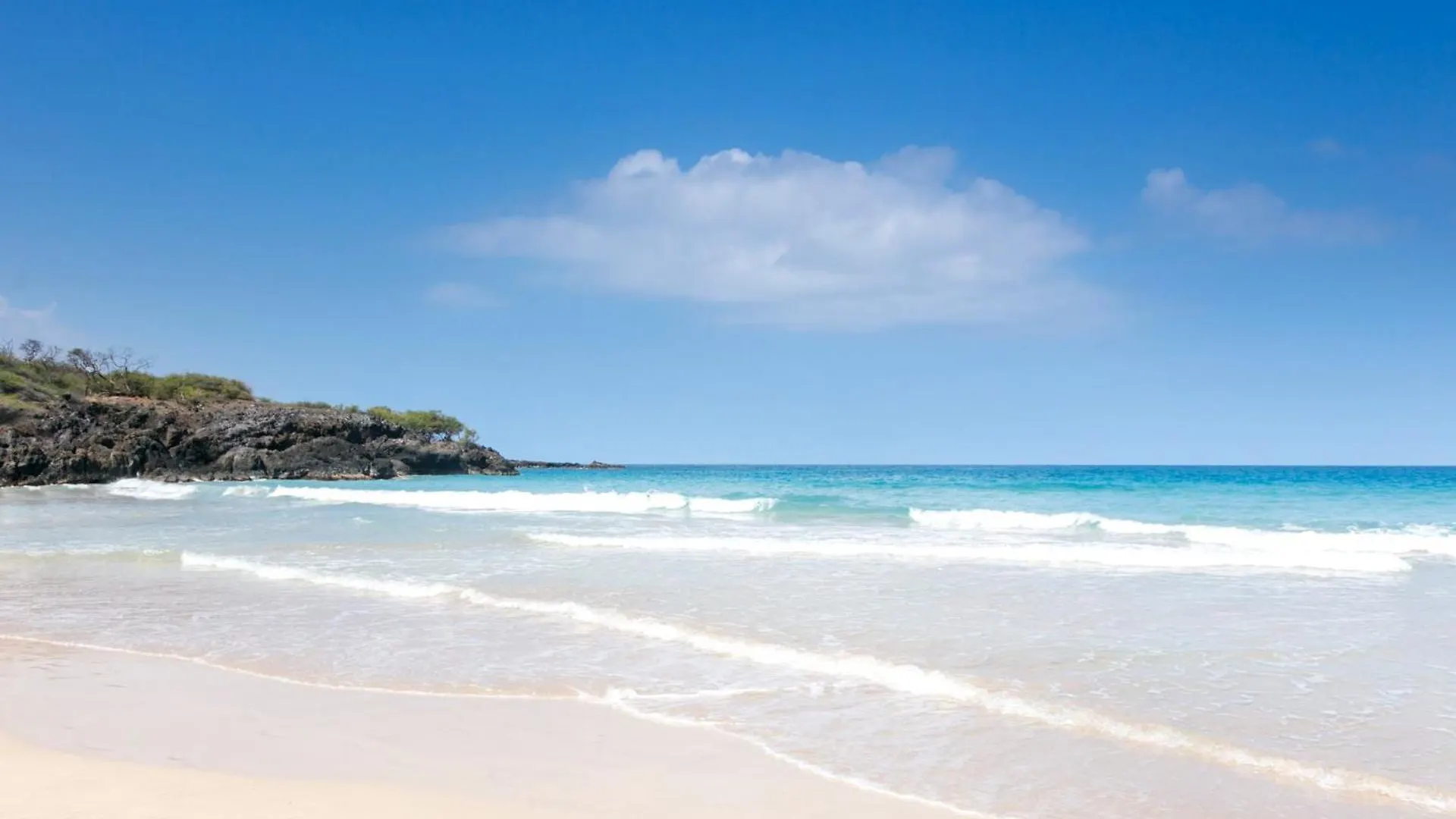 Ocean Dream Panoramic Oceanfront Walk To Private Beach Club Bikes وايكولوا 0*,  الولايات المتحدة الأمريكية